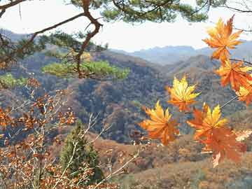 沈阳发放两节救助金3800余万，沈阳发放节日救助金超三千八百万